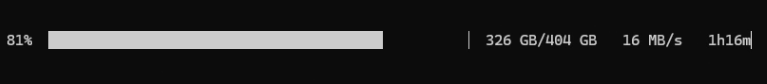 A screenshot showing that 81% of the 671b model is downloaded, current speed 16MB/s, 1h16m left.